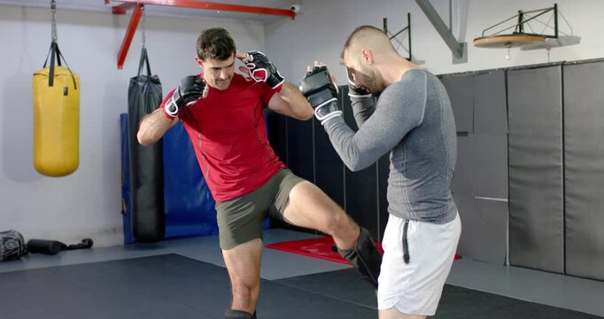 Diverse training partners, red-shirted starting front kicks and gray blocking with gloves