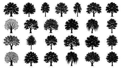 Black Deciduous Tree Silhouette Collection with Natural Woodland and Landscape Elements Vector Set © SojibRoy