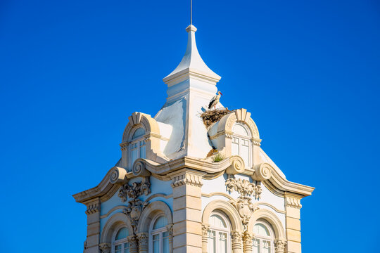 Stork Nesting on top of Belmarco Mansion in Faro Algarve Portugal
