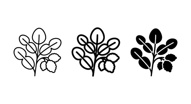 Moringa Leaf Icons, Plant Vector Graphics, Organic Ingredient Symbols, Healthy Food Elements, Botanical Illustrations