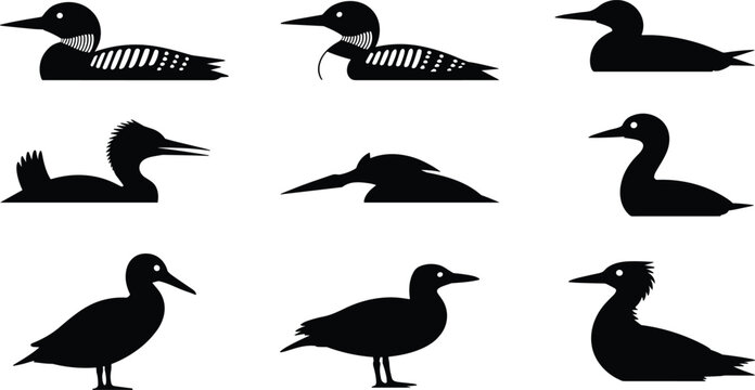 Bird Silhouette Icons Set Featuring Ducks, Loons, Grebes, and Waterfowl Variations
