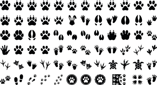Cute Squirrel Monkey Vector Sticker Set with Playful Jungle Animals Climbing, Jumping, and Sleeping on Rainforest Tree Branches for Graphic Designs