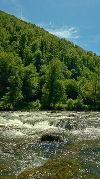 Peaceful River Rapids Surrounded by Lush Green Forest Creating a Relaxing Nature and Wellness Escape