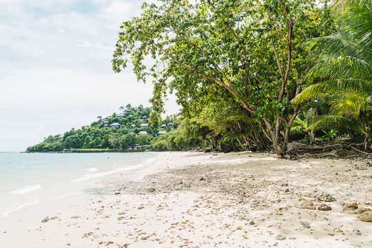 Tropischer Sandstrand mit t&uuml;rkisfarbenem Meer &ndash; unber&uuml;hrte K&uuml;ste, Palmen und paradiesische Natur