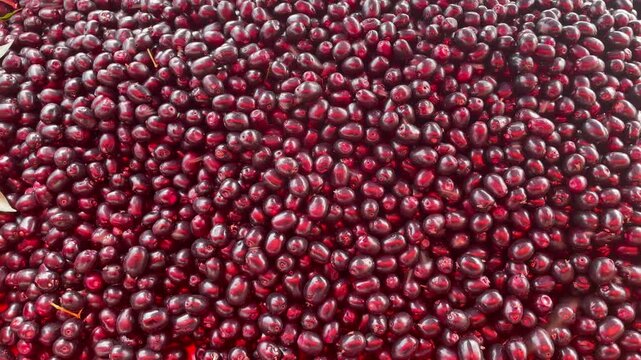 kalu jamun in the market Ripe Fruits of Java Plum or Jamun very tasty	