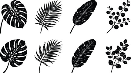 Tropical leaves silhouette collection featuring monstera palm fronds banana leaf and eucalyptus branches for exotic summer botanical designs © MdAbdur