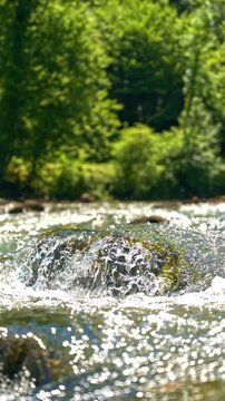 Vertical 4K Slow Motion Close-Up of Crystal Clear Kolpa River Water Flowing Over Submerged Rock, Showcasing Purity, Freshwater Textures and Natural Spring Concepts