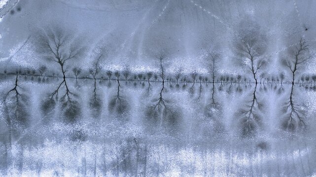 Aerial view, lake landscape, reed bed, flooded area, biotope, habitat, Elbe floodplain, floodplain landscape, river course, delta, cracks in the ice, ice skating rink, winter and frost, flood, river landscape, flowing water, sunrise, old paths, Middle Elbe Biosphere Reserve, Saxony-Anhalt, Germany