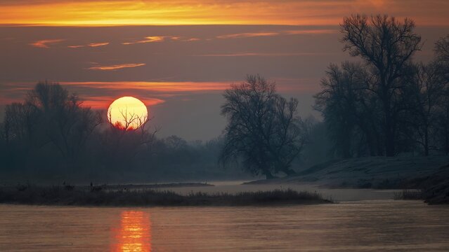Sunrise on the Middle Elbe, winter landscape in frost, river landscape, fog, reflection of the sun, landscape shot, wonderful atmosphere, Garden Kingdom of Dessau-W&ouml;rlitz, Middle Elbe Biosphere Reserve, UNESCO World Heritage Site, Saxony-Anhalt