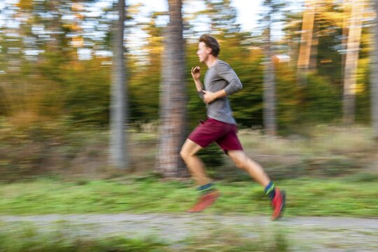 Young man jogging in the autumnal forest, puller, Perlacher Forst, Munich, Upper Bavaria, Bavaria, Germany