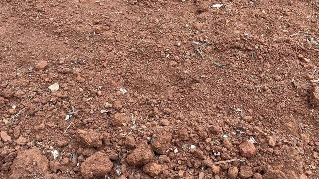 Dry cracked red clay soil texture close up