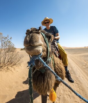 Young man riding on a camel, caravan with Dromedary (Camelus dromedarius), desert, Erg Chebbi, Merzouga, Sahara, Morocco
