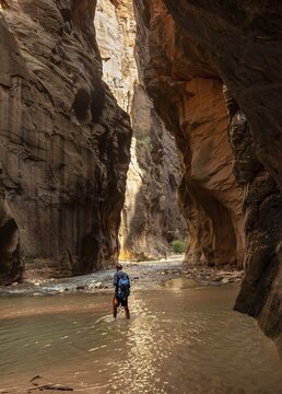 Hiker walks in the water, The Narrows, narrow place of the Virgin River, steep walls of the Zion Canyon, Zion National Park, Utah, USA