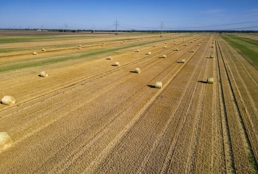 DefaultArable land after harvest, hay bales, straw bales temporarily stored on field, baler, agriculture, harvest. Field landscape, field work, farmers, Saxony-Anhalt, Germany