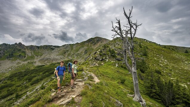 Hikers standing by a dried up tree, Schladminger H&ouml;henweg, Schladminger Tauern, Schladming, Styria, Austria