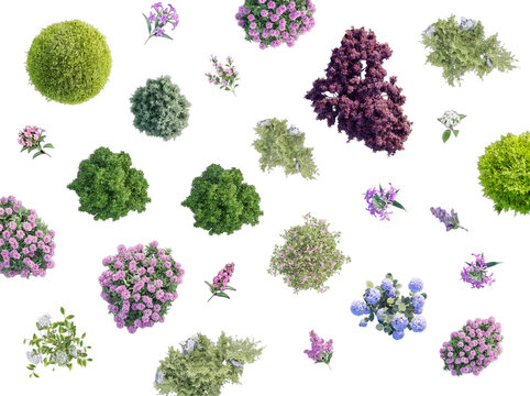 Overhead shot of varied green and colorful flowering bushes and shrubs, isolated on transparent.