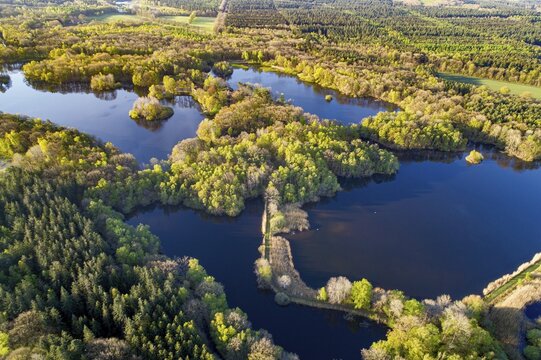 Aerial view of Ahlhorn fish ponds, autumnal, pond, lake, Lower Saxony State Forests, Ahlhorn, Lower Saxony, Germany