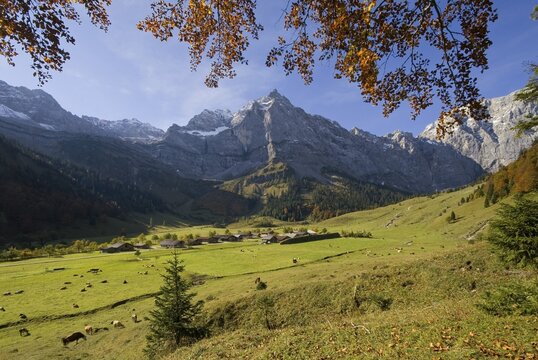 Eng-Alm, Spritzkarspitze Mountain in the back, Karwendel Range, Tyrol, Austria, Europe