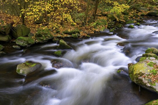 Autumn on the river Bode in the Harz Mountains, foliage colouring, Bodetal, Thale, Saxony-Anhalt, Germany