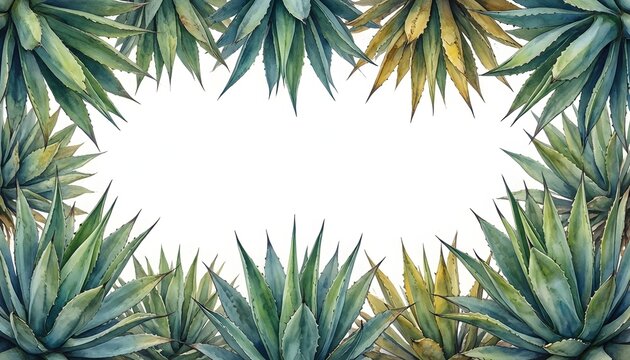 Watercolor agave plants frame a white background with a natural botanical border