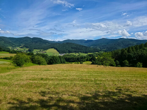 germany, picturesque meadow foreground with elzach village and forested mountains glowing in summer daylight