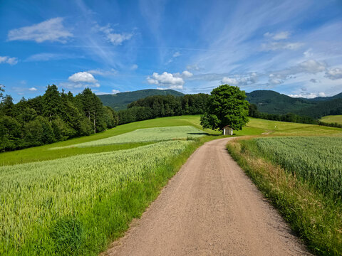germany, artistic painted sky above old tree chapel and curved trail in magical black forest