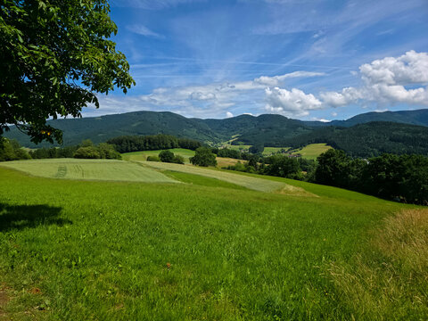 germany, sweeping elztal panorama with rolling grasslands forested hills and endless black forest beauty