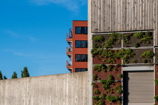 Mixed material facade combines wood, concrete and planted wall, where sustainable architecture shapes an urban building exterior in sunlight