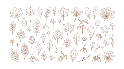 Minimalist autumn leaf line art collection, hand drawn fall foliage vector set, brown botanical sketches of maple and oak leaves for seasonal branding © I'm_coming