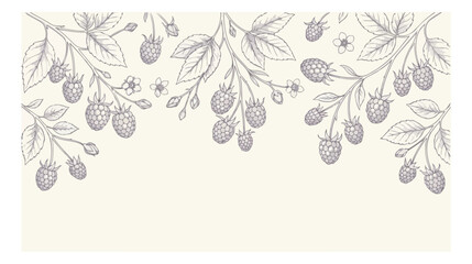 Vintage raspberry botanical border vector, hand drawn berry branch illustration, elegant floral frame for organic food packaging and wedding stationery © I'm_coming