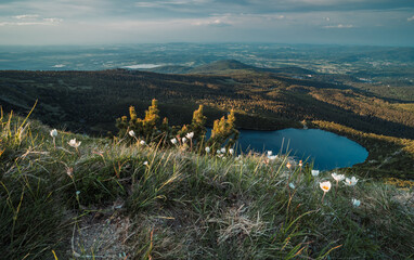 Natura, krajobraz, las, zachód słońca, leśny potok, słońce, woda, światło, długa ekspozycja © Adrian Jaśpiński