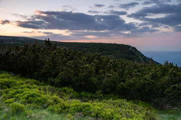 Natura, krajobraz, las, zachód słońca, leśny potok, słońce, woda, światło, długa ekspozycja © Adrian Jaśpiński