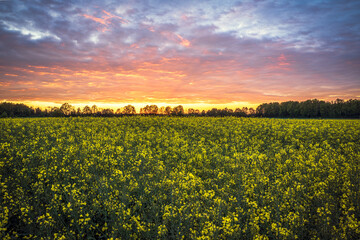 Natura, krajobraz, las, zachód słońca, leśny potok, słońce, woda, światło, długa ekspozycja © Adrian Jaśpiński