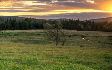 Natura, krajobraz, las, zachód słońca, leśny potok, słońce, woda, światło, długa ekspozycja © Adrian Jaśpiński