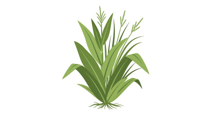 Fototapeta premium Green City Green plant, leafy foliage, botanical illustration, vector plant isolated on White Background Vactor EPS