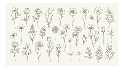 Delicate hand-drawn botanical vector set, elegant floral illustrations, vintage wildflower collection, natural plant elements for wedding invitations and branding © I'm_coming