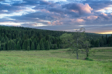 Natura, krajobraz, las, zachód słońca, leśny potok, słońce, woda, światło, długa ekspozycja © Adrian Jaśpiński