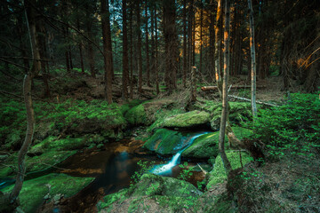 Natura, krajobraz, las, zachód słońca, leśny potok, słońce, woda, światło, długa ekspozycja © Adrian Jaśpiński