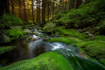 Natura, krajobraz, las, zachód słońca, leśny potok, słońce, woda, światło, długa ekspozycja © Adrian Jaśpiński