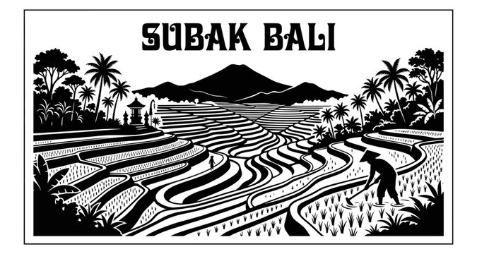 Rice terrace cultivation during daylight with distant mountains and tropical foliage in silhouette style