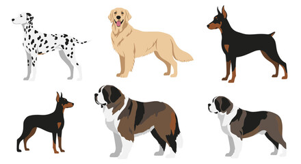Obraz premium Collection of six different dog breeds including Dalmatian, Golden Retriever, Doberman Pinscher, and Saint Bernard in profile.