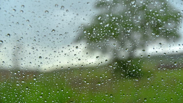 Weather; raindrops on the window pane on a rainy June morning. 