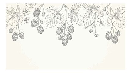 Vintage raspberry botanical illustration border, hand drawn berry branches with leaves and flowers, elegant floral vector frame for wedding invitations © I'm_coming