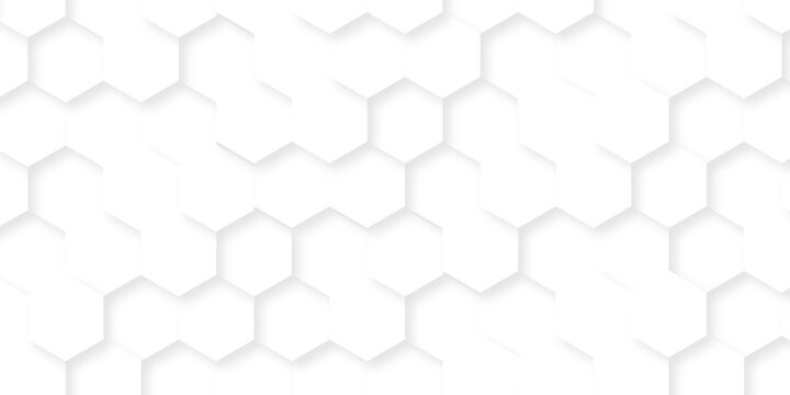 Modern abstract vector polygonal pattern. Abstract background with hexagon. Illustration web honeycomd light white futuristic hexagon. White paper texture abstract grid tile seamless hexagon wall.