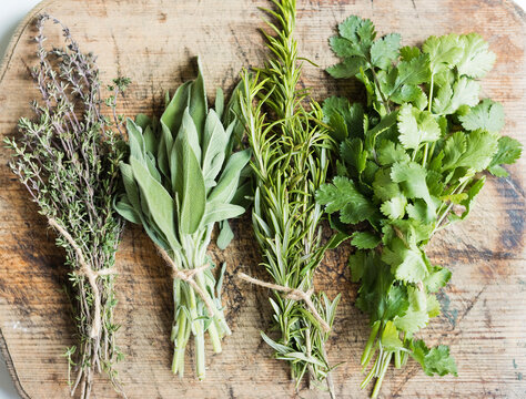 Variety of fresh green herbs on wooden table at home