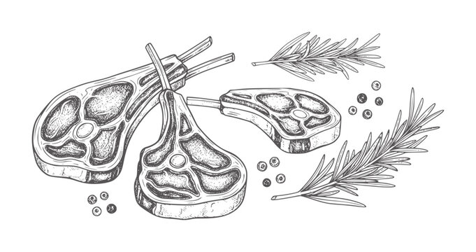 Hand drawn lamb chops with rosemary and peppercorns meat