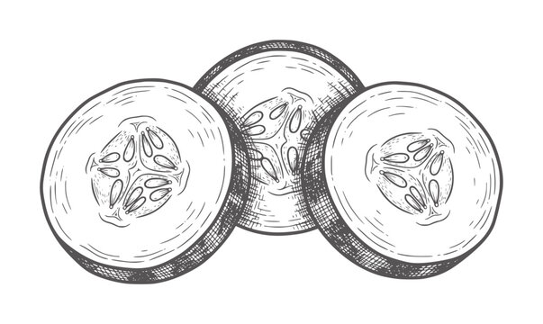 Three cross sections of cucumber slices with visible seeds and pulp