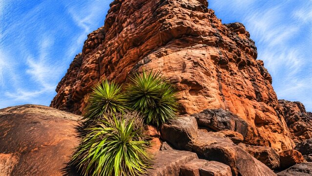 Rocky desert landscape with spiky plants view