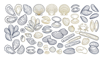 Collection of various shellfish and seafood illustrations, including oysters, mussels, clams, scallops, and razor clams. © Nuria