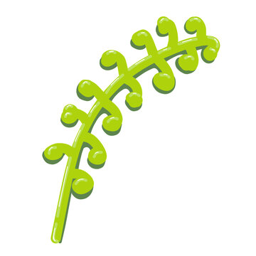 Minimalist stylized illustration of Peperomia pellucida plant isolated with transparent background for design assets.